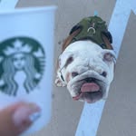 Rex Pena - @rexpena28 - Instagram