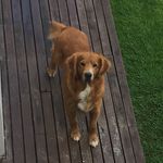 Rex - @rex_perez - Instagram