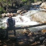 Trent Randall - @trent_randallsaurus_rex - Instagram