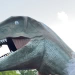 Tina the t-rex at randolph - @trexatrandolph - Instagram