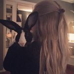 Riddles - @riddles_the_rex - Instagram
