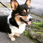 Rex Riley - @oneandonlyrex - Instagram