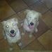 Rex Riley - Facebook