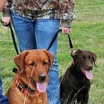 Rex&Riley - @rex_riley20 - Instagram