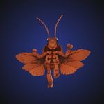 Rex Roach - @_rexroach - Instagram