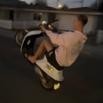 REX DOG - @rex_romano - Instagram