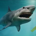 Rex Ross - @rexross1130 - Instagram