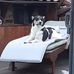 Rex Ross - Facebook