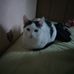Rex Beck Luschwitz Rowe - Facebook