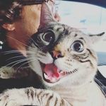@rUdy reX_ff - @rudy_rex_ff - Instagram