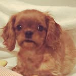 Rudy Rex Rabineau - @rudyrexrabineau - Instagram