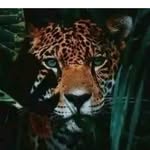 DE.REXRULES - @de.rexrules207 - Instagram