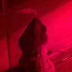 Rexrules - @rexrules4188 - Instagram