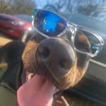 Ramontez Conley - @rexseeya3 - Instagram