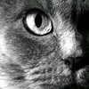 rexsees - @rexsees - TikTok