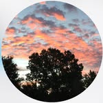 Rex Sharp - @rexman817___ - Instagram