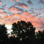 Rex Sharp - @rexman817 - Instagram