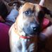 Rex Shelton - Facebook