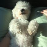 Rex Sims - @rex_master1 - Instagram
