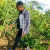 Rex sims - @mophensimooya8 - TikTok