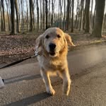 T-rex Sørensen - @trex2_017 - Instagram