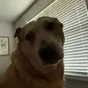 Rex Sosa - @rex.sosa5 - TikTok