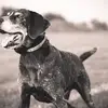 Rex Stein - @rexstein4 - TikTok