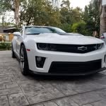 Rex - @rex_sterling_ - Instagram