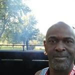 Rex Stone - @rex.stone.3133 - Instagram