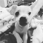 Rex Stone - @rex_rm_stone - Instagram