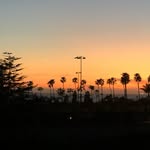 Rex Stone - @rexstone469 - Instagram