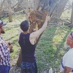 Rex Bubba Sutherland - @sir_rexford - Instagram