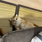 Rex - @rexleotennyson - Instagram