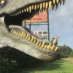 Titus T. Rex - @titust.rex - Instagram