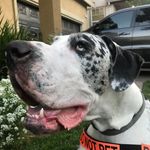 Titusaurus Rex - @titusaurus_rex777 - Instagram