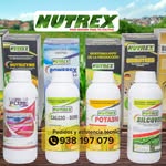 Nutrex Trujillo - @nutrextrujillo - Instagram