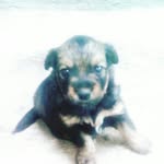 rex - @rex_trujillo_7 - Instagram