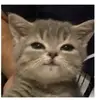 rexie_shny - @rex.valencia - TikTok