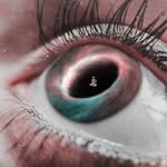 @rex__vincent__ - Instagram
