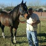 Rex Ward - @triggerpoint4u - Instagram