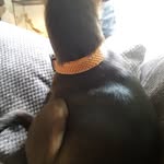 rexie - @welshrexie - Instagram