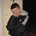 Rex - @rex_westby - Instagram