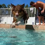 Rex Willis - @rexwillis - Instagram