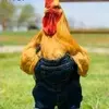 Rex willis - @rex.willis5 - TikTok