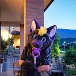 rex - @Rexwolf96 - Instagram