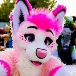 Rex The Wolf - @rexlovesfood - Instagram