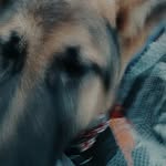 @rexw_olf - Instagram
