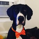 Clifford Rex Woods - @sir_clifford_rex_woods - Instagram