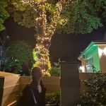Rex - @rexwoods_ - Instagram