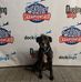 Rex Woods - Facebook